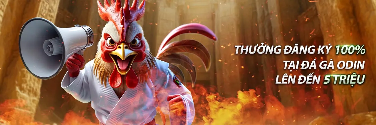 Mục đích sử dụng dữ liệu CLB88 Nổ Hũ